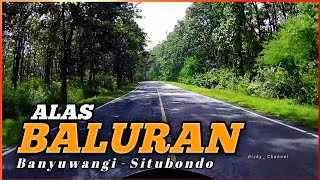 Perjalanan Melintasi Hutan Alas Baluran  Jalur Penghubung Banyuwangi  Situbondo  RizkyChannel [upl. by Lledrac]