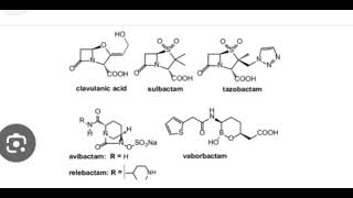 Beta Lactamase Inhibitors [upl. by Tuppeny522]