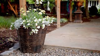 Planting a Container in Shades of White 💚🌿 Garden Answer [upl. by Bucher]