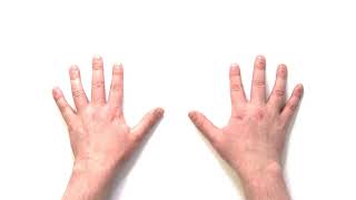 Very Easy English Lesson for Beginners with TPR Total Physical Response  Left Hand and Right Hand [upl. by Virg801]