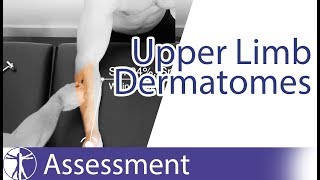 Dermatomes Upper Limb  Peripheral Neurological Examination [upl. by Awad694]