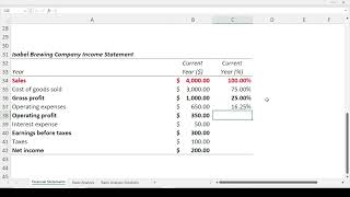 Common Size Analysis  Income Statement [upl. by Ainessey]