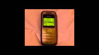 Nokia 1200 Ringtone  Destiny [upl. by Onek]