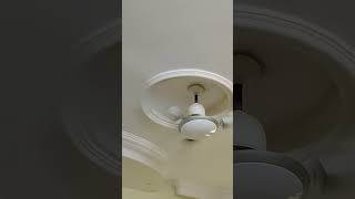 Ceiling fan noise fan shortvideo fansound shorts viralvideo [upl. by Imena]