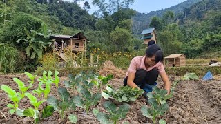 Growing and caring for winter vegetables  tiny family [upl. by Keyek]