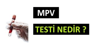 MPV TESTİ YÜKSEKLİĞİ ve DÜŞÜKLÜĞÜ NE DEMEK [upl. by Artcele607]