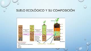 Interrelación de los componentes bióticos y abióticos del agroecosistema [upl. by Ravens875]