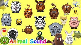 The Animal Sound Song A12A13  Kids Songs and Nursery Rhymes  EduFam [upl. by Haimorej]