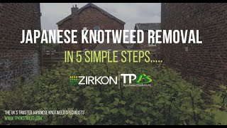 Japanese Knotweed Removal  In 5 Simple Steps [upl. by Alduino]