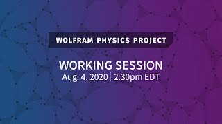 Wolfram Physics Project Working Session Tuesday Aug 4 2020 Empirical Physical Metamathematics [upl. by Meibers]