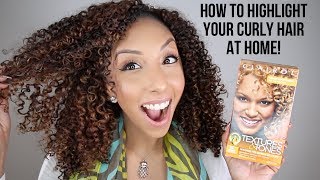 How To Highlight Curly Hair At Home Clairol Professional Textures amp Tones  BiancaReneeToday [upl. by Beauregard547]