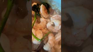 Funghi e Scampi 🍤 🍄‍🟫🍄‍🟫🇮🇹 shorts italy italianfood recipe italiantaste italiancusine [upl. by Greenwell]