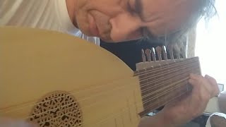 EMS 8Course Renaissance Lute Sound Test [upl. by Ariaic]