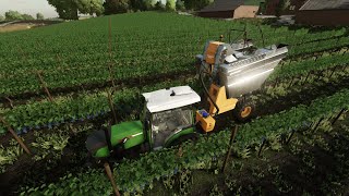 FS22  MyFarm 1  Fendt 210  Volentieri Pellenc 8050 [upl. by Ralf]