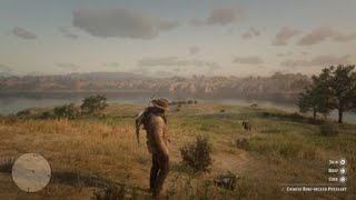 Red Dead Redemption 2  RDR2  CHINESE RINGNECKED PHEASANT  LOCATION  ZOOLOGIST 99  SKIN DEEP [upl. by Lubeck]