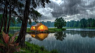 Rain in the lake camping in the forest relaxing sleeping meditating and healing mental health [upl. by Edwina909]