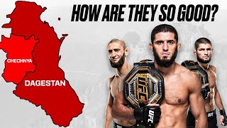 From Faith to Victory Muslim Fighters Dominating in the UFC [upl. by Koch351]