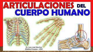 🥇 ARTICULACIONES DEL CUERPO HUMANO EN 17 minutos  Resumen [upl. by Nylatsirk]