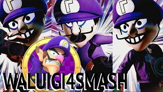 Waluigi Mains RISE Rap MV Mii Fighter Compilation [upl. by Ellek]