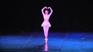 Ballet Classico premiado 2014 Georgia Giovanardi [upl. by Attenyw]