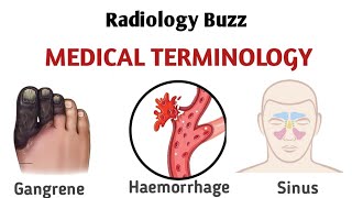 Medical Terminology [upl. by Skipp113]