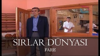 Sırlar Dünyası  FARE [upl. by Nairahcaz90]