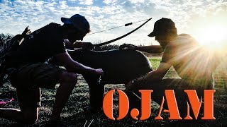 Primitive bow building at Oklahoma Selfbow Jamboree  OJAM [upl. by Hagood]