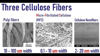 Three cellulose fibers Pulp Microfibrillated cellulose MFC amp Cellulose nanofibers CNFs [upl. by Allanson]