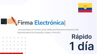 Cómo obtener una Firma Electrónica en Ecuador  100 Online [upl. by Oiril733]