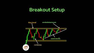 Forex สอน เทรด  878  Breakout Setup [upl. by Eisac753]