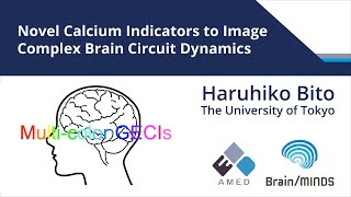 Novel Calcium Indicators to Image Complex Brain Circuit Dynamics [upl. by Ecnaiva]