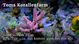 News aus der Farm  RTNSTN  kommt leider in den besten Becken vor [upl. by Jollenta200]