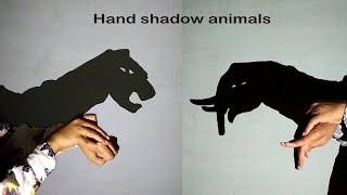 Hand Shadow Puppets Video [upl. by Gothurd]