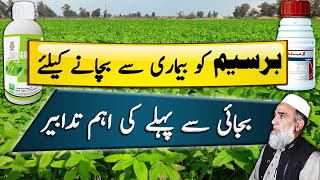 Important instructions before sowing of Berseem  Crop Reformer [upl. by Ihtac391]