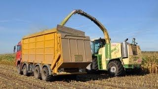 Loonwerk De Bruyne  Krone Big X V12  mais hakselen [upl. by Nya]