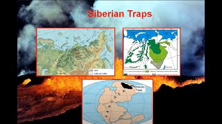 PermianTriassic Mayhem Earths Largest Mass Extinction [upl. by Gnep243]