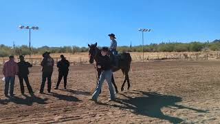 Class 13  Pattern Class EnglishWestern  Scottsdale Saddle Club  December Horse Show [upl. by Bekaj56]