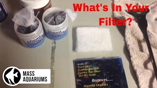 Saltwater Aquarium HOB Filter Explained No Sump No Skimmer [upl. by Aeneus]