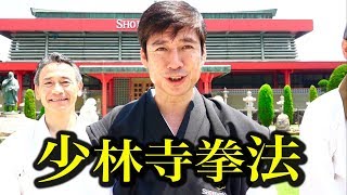 Karate and Shorinji Kempo Wonderful encounter [upl. by Gae]