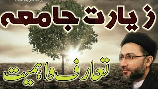 Ziarat e Jamia ka taruf o ehmiatAllama Syed Shehanshah Hussain Naqvi [upl. by Naresh]