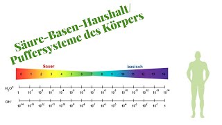 SäureBasenHaushalt Komplett erklärt für die Heilpraktikerprüfung [upl. by Carmina]