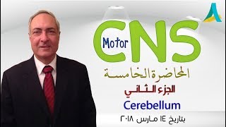 DrNagi  Live Physiology  Lecture 89  CNS Motor 5  Part 2  Cerebellum [upl. by Glynas]