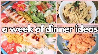 2 NEW INSTANT POT RECIPES  What’s For Dinner 340  1WEEK OF REAL LIFE MEALS [upl. by Benjie]