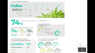 Understanding Your Endocannabinoid System Quick Guide Frank DAmbrosio MD  Green Flower [upl. by Eugenle]