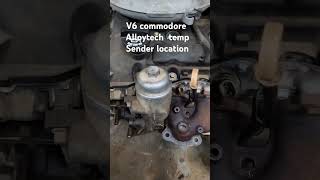 V6 commodore alloytech temp sender location [upl. by Yordan]