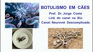 botulismo em cães [upl. by Powel]