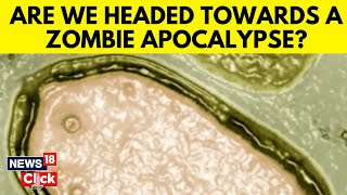 Zombie Virus  Zombie Virus Explained  What Is A Zombie Virus  News18 Exclusive  News18 [upl. by Tamanaha585]