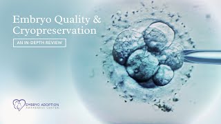 Embryo Quality amp Cryopreservation  How embryos are created amp how it affects your FET success [upl. by Aicatsanna55]