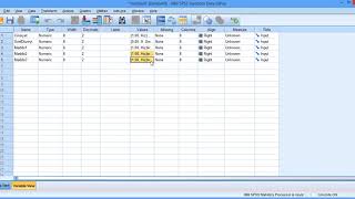 SPSS ile veri seti oluşturma A data set [upl. by Alina]