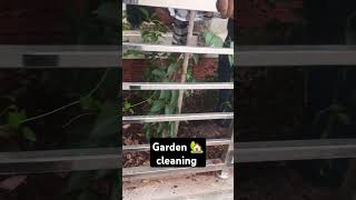 Garden work quot 🏡 please subscribe [upl. by Feingold]